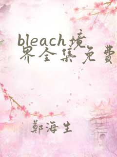 bleach境界全集免费完整版