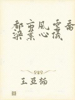 都市风云乔梁乔梁叶心仪