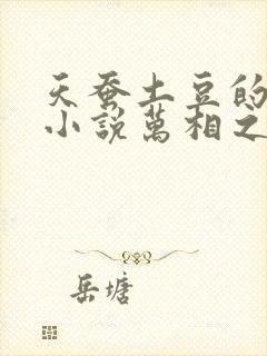 天蚕土豆的全部小说万相之王
