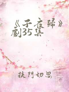 《子夜归》电视剧35集