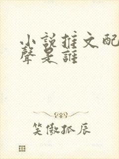 小说推文配音女声是谁