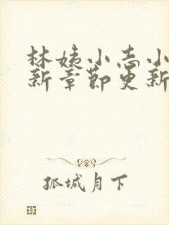 林姨小志小说最新章节更新免费阅读下载