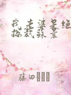 我老婆是绝色女总裁苏晨