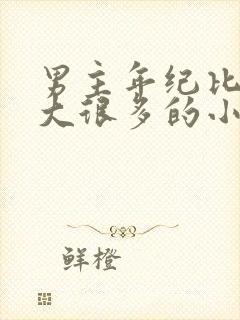 男主年纪比女主大很多的小说