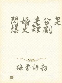 闪婚老公是总裁爆火短剧