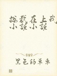 总裁在上我在下小说小说