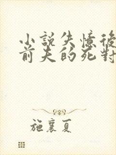 小说失忆后错把前夫的死对头当老公