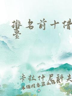 排名前十借款平台