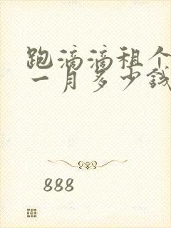 跑滴滴租个电车一月多少钱