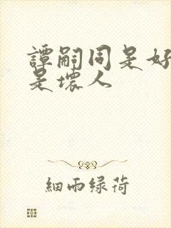 谭嗣同是好人还是坏人