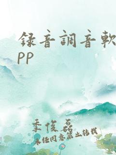 录音调音软件app