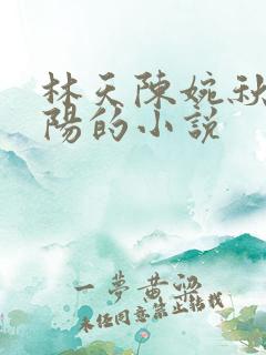 林天陈婉秋潘阳阳的小说