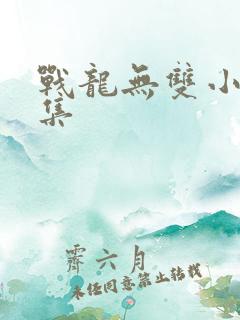 战龙无双小说全集