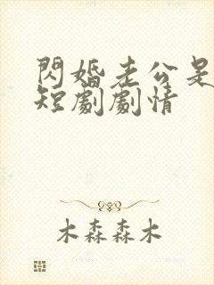 闪婚老公是豪门短剧剧情