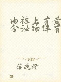 内裤上有黄黄的分泌物伴有瘙痒