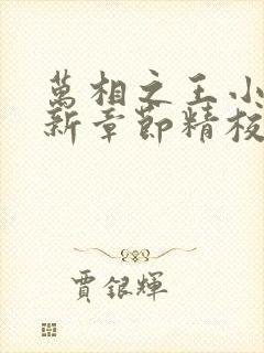 万相之王小说最新章节精校版