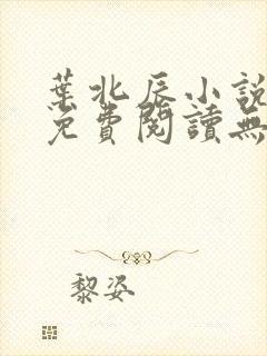 叶北辰小说全文免费阅读无弹窗下载