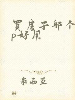 买房子哪个app好用