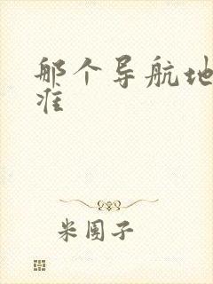 那个导航地图精准