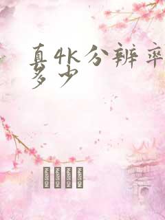 真4k分辨率是多少