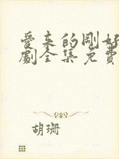 爱来的刚好电视剧全集免费观看