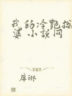 我的冷艳总裁老婆 小说网