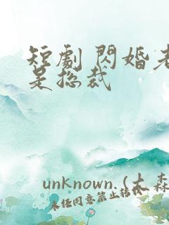 短剧 闪婚老公是总裁