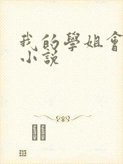 我的学姐会魔法小说