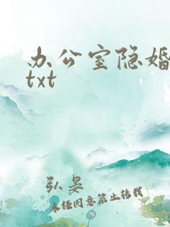 办公室隐婚轻黯txt