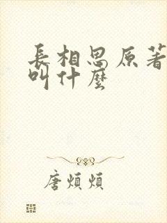 长相思原著小说叫什么