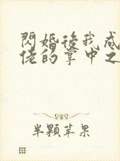 闪婚后我成了大佬的掌中之物短剧在线观看