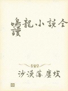 鸣龙小说全文阅读