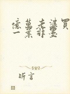 亿万老婆买一送一叶非墨