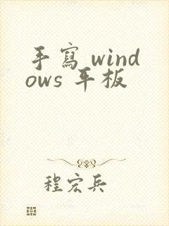 手写 windows 平板