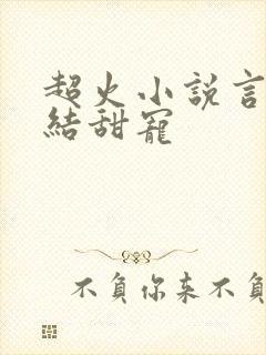 超火小说言情完结甜宠