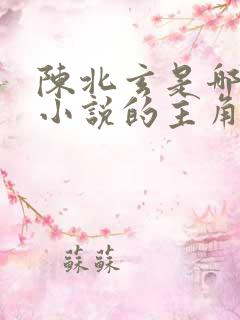 陈北玄是哪一部小说的主角