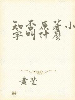 知否原著小说名字叫什么