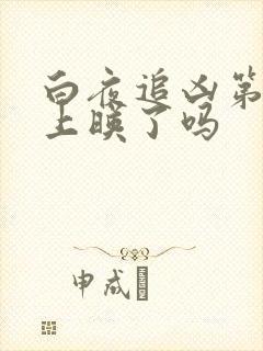 白夜追凶第二季上映了吗