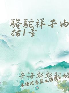 骆驼祥子内容概括1章