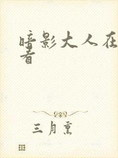 暗影大人在线观看