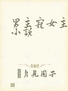 男主宠女主短篇小说