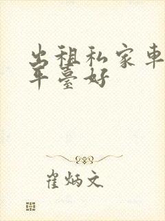 出租私家车哪个平台好