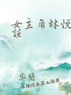 女主角林悦的小说