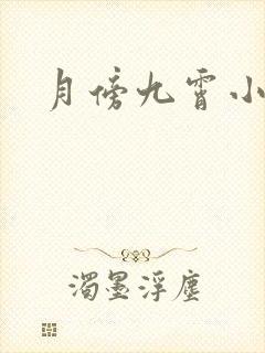 月傍九霄小说