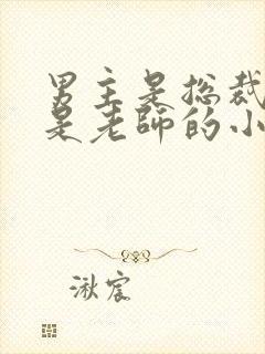 男主是总裁女主是老师的小说