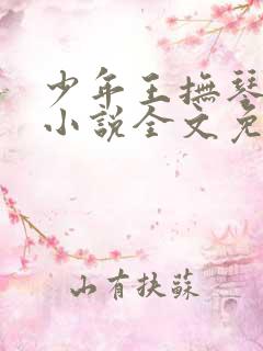 少年王抚琴的人小说全文免费阅读完整版