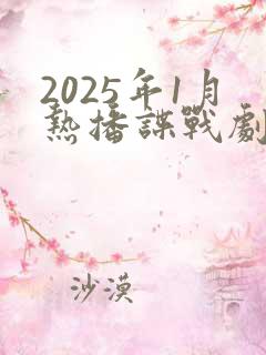 2025年1月热播谍战剧