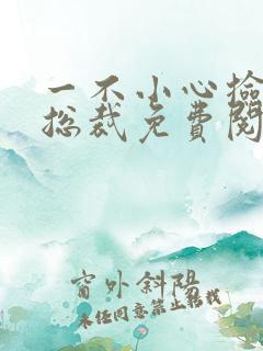 一不小心捡到个总裁免费阅读