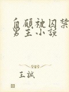 自愿被囚禁的双男主小说