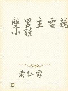 双男主电竞甜文小说